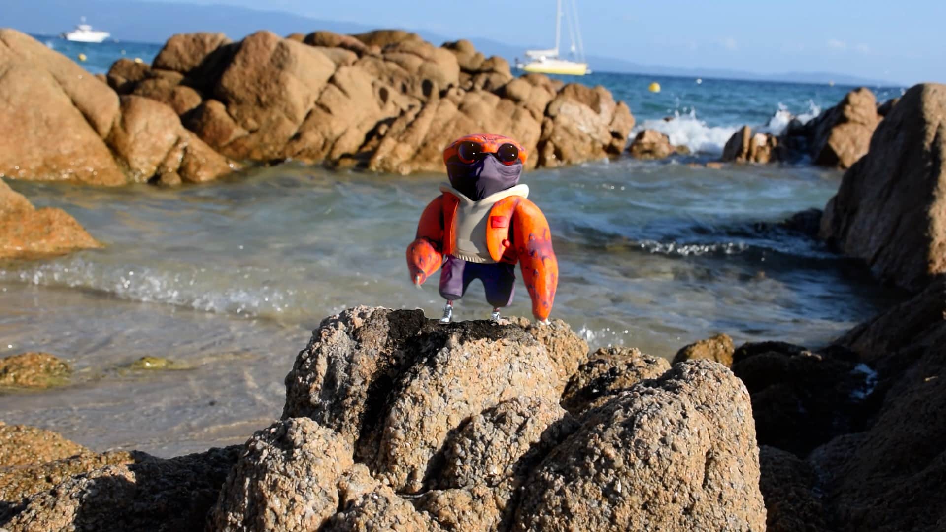 crabus coolax animation 3d cute animal corsica travel